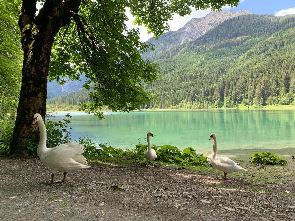 Ferienwohnungen Monika Winter Kleinarl Dış mekan fotoğraf